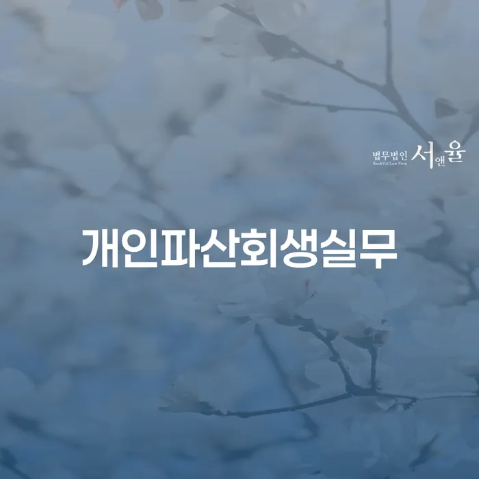 회생 대출 받은 돈채무조정 잘 하는 법률사무소
