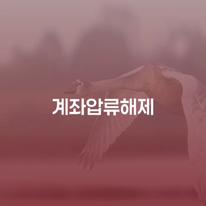 개인회생 개인회생으로 해결방법 해결하고 싶다면