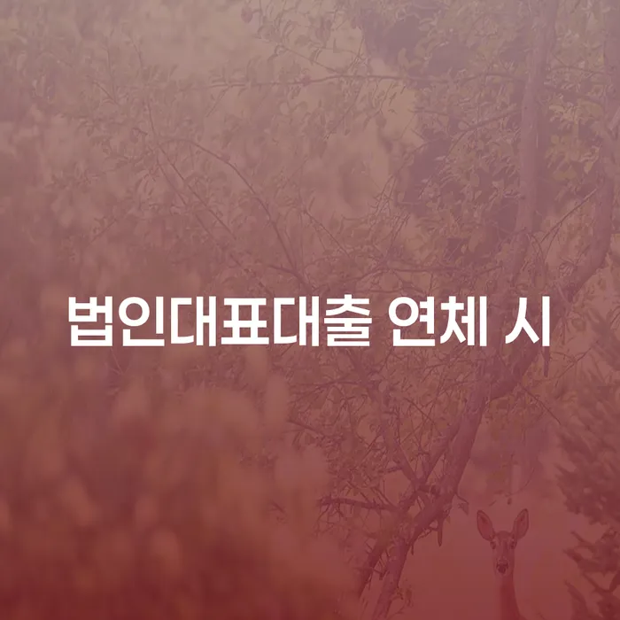 개인회생필요서류 빚 합법적인 빠른방법 관련