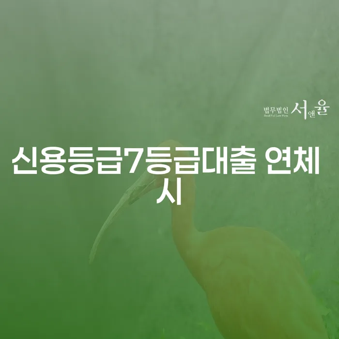 개인파산 개인회생으로 해결 할려는데