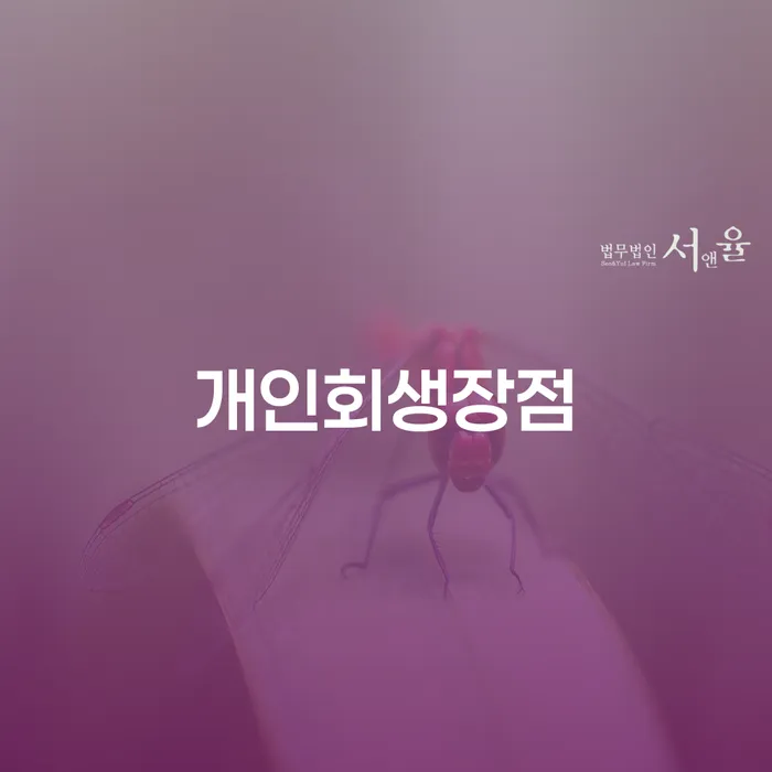 회생비용 저렴하고 채무 효과적인 해결방법 잘 하는 변호사