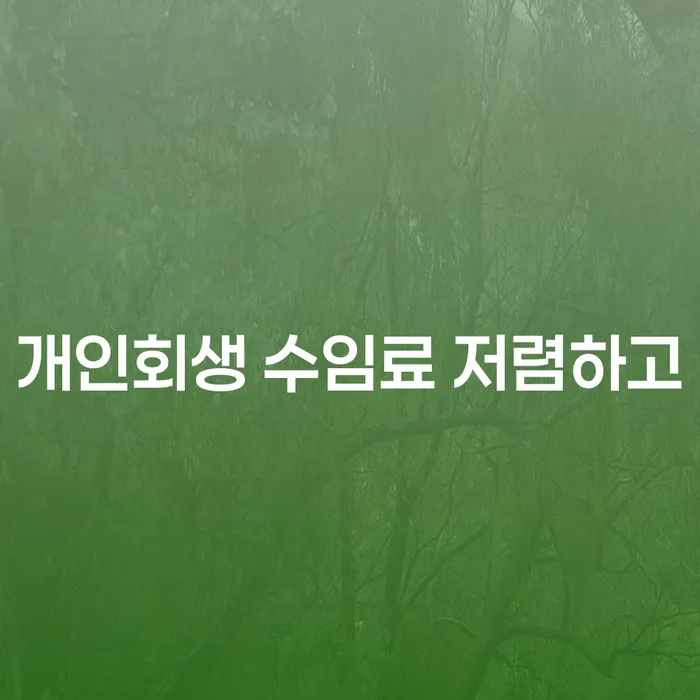 개인회생렌트카 빚 합법적인 빠른방법 최신정보