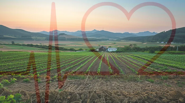 기초생활수급자파산