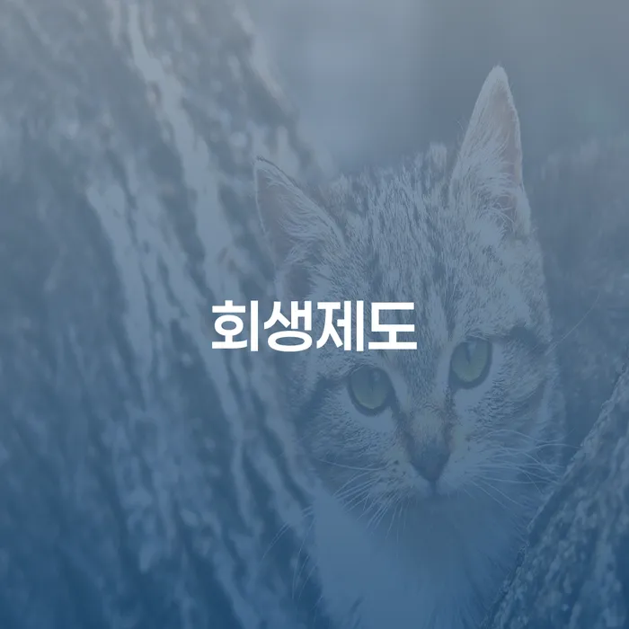 순천시 금리저렴한대출 연체 시 추심 대응법 지금알아보기