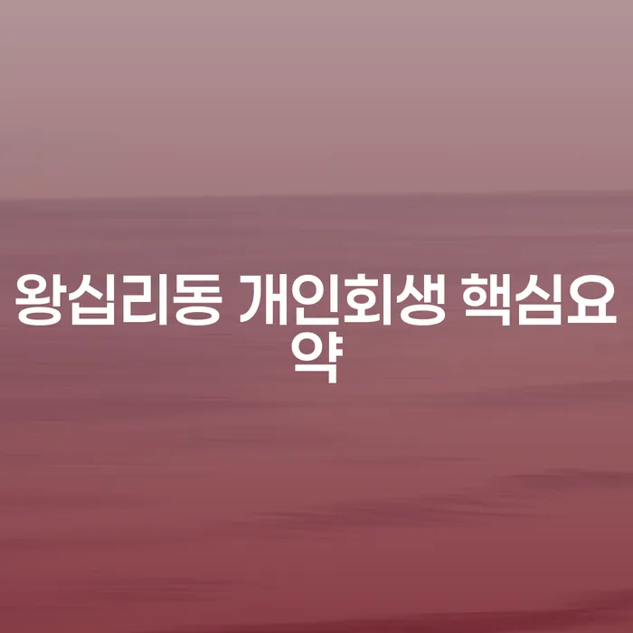 왕십리동 개인회생 핵심요약