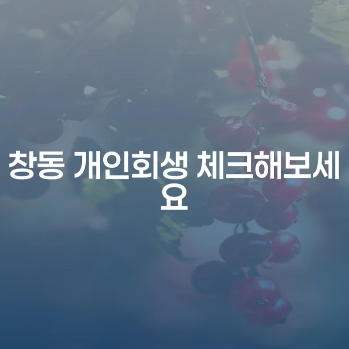 창동 개인회생 체크해보세요