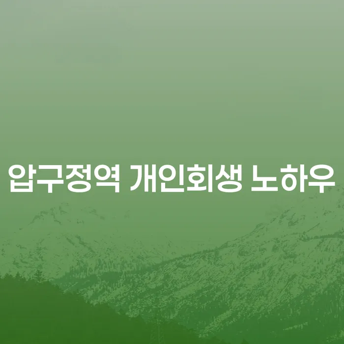 압구정역 개인회생 노하우