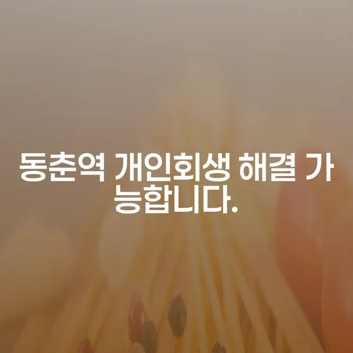 동춘역 개인회생 해결 가능합니다.