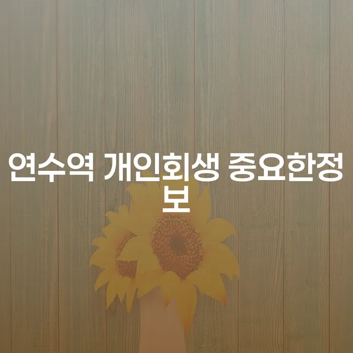 연수역 개인회생 중요한정보