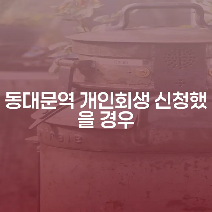 동대문역 개인회생 신청했을 경우