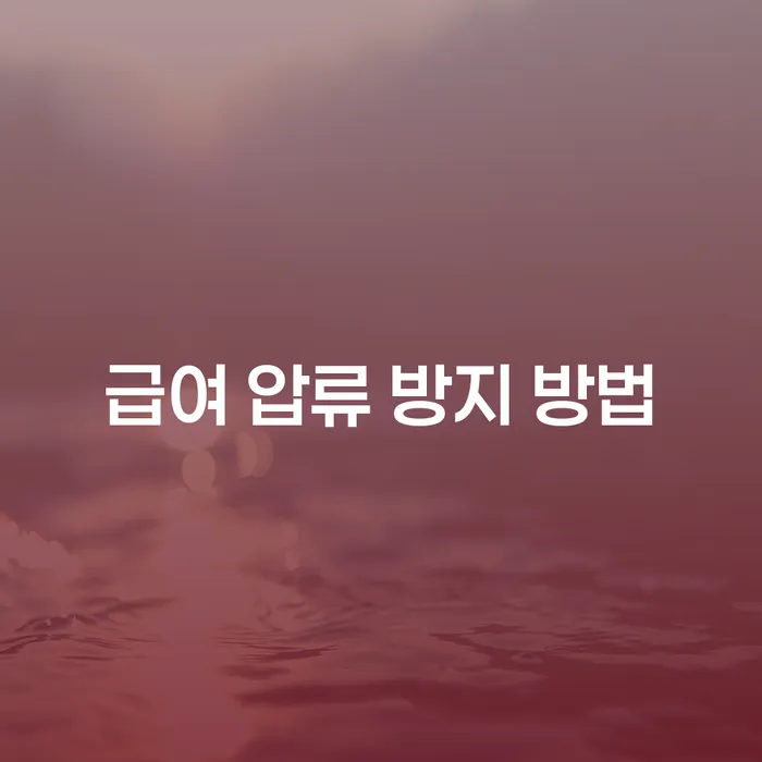 급여 압류 방지 방법: 어떻게 대처해야 할까요?