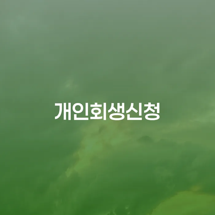 회현동 개인회생신청을 통한 채무 재조정 및 재정 회복