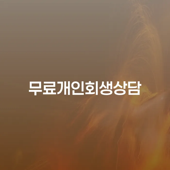 개인회생과 개인파산, 무엇이 당신에게 더 적합할까요?