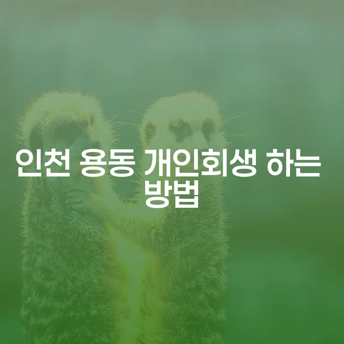 인천 용동에서 개인회생을 하는 방법은 무엇일까요?