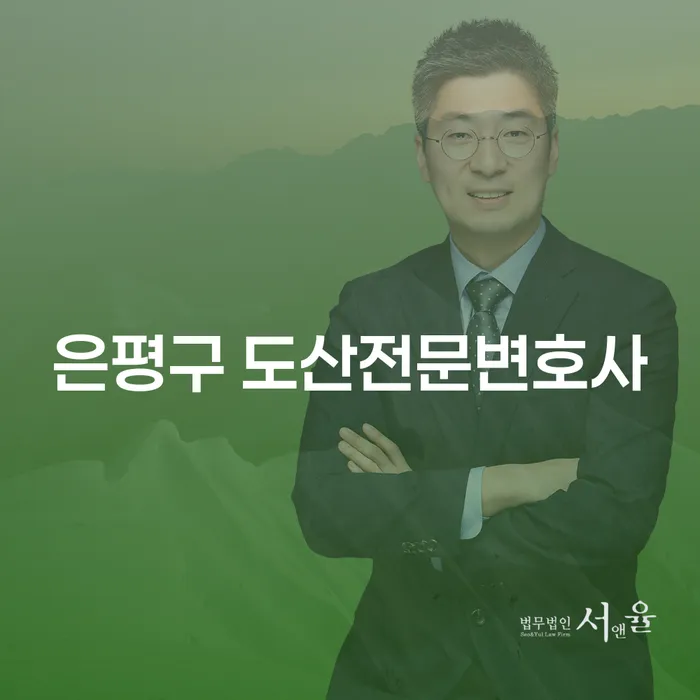 은평구 도산전문변호사가 개인회생을 어떻게 도와줄 수 있을까요?
